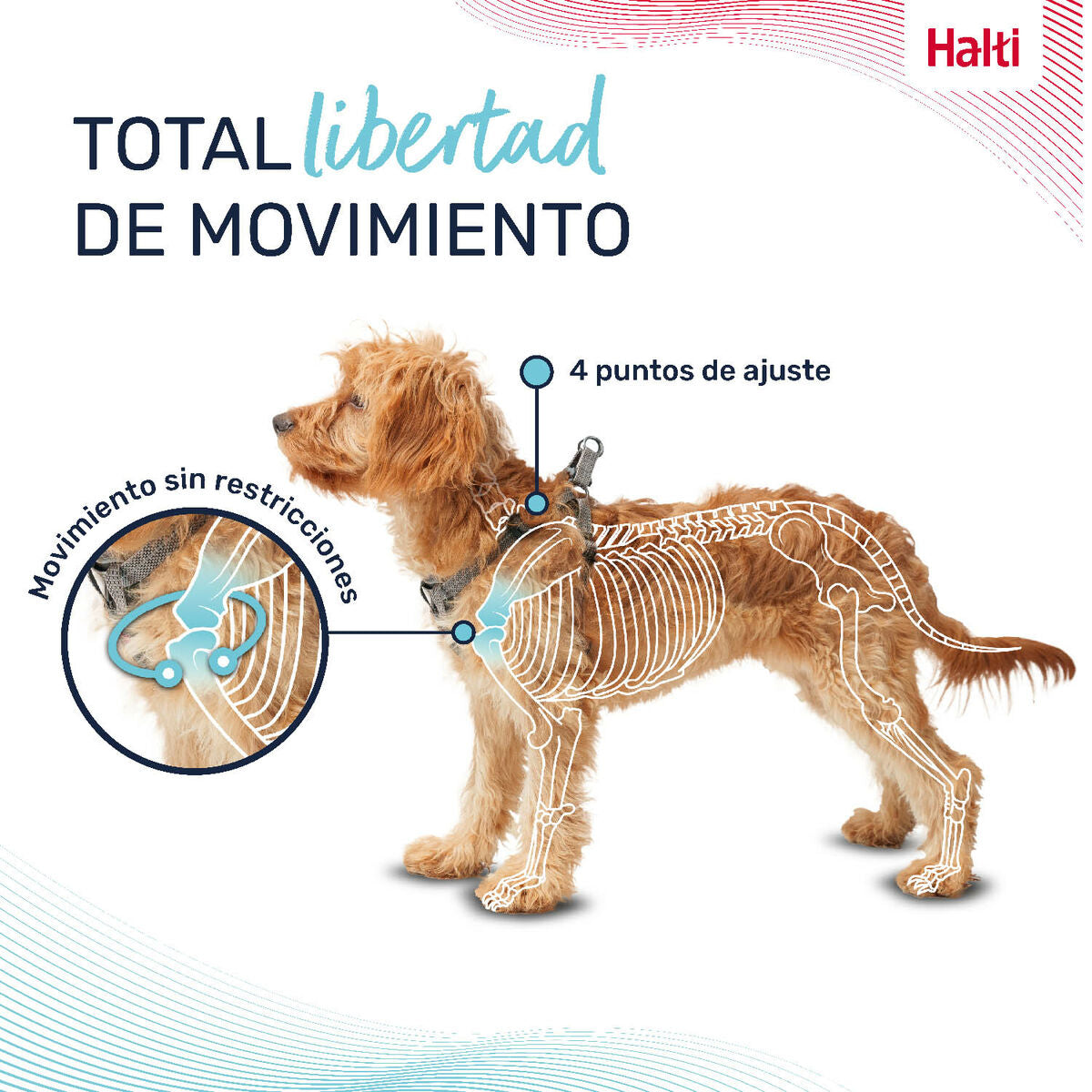 V5HD988725FD0F6BEF745A2D635852E80DER5328480P6