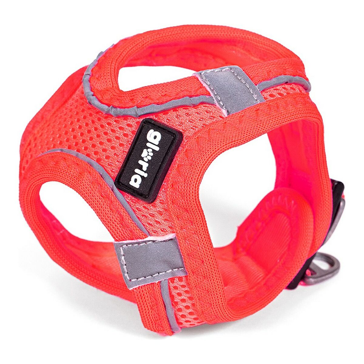V9H1CBDEE125527C00C1A260A29BC23FE6CR5597824P4