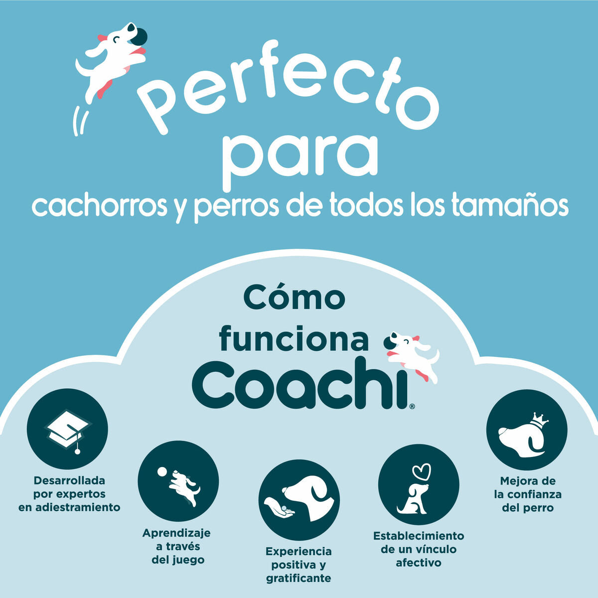 V6H37EE5D3DD4CE103A848F16A3F2BD8391R3708983P2