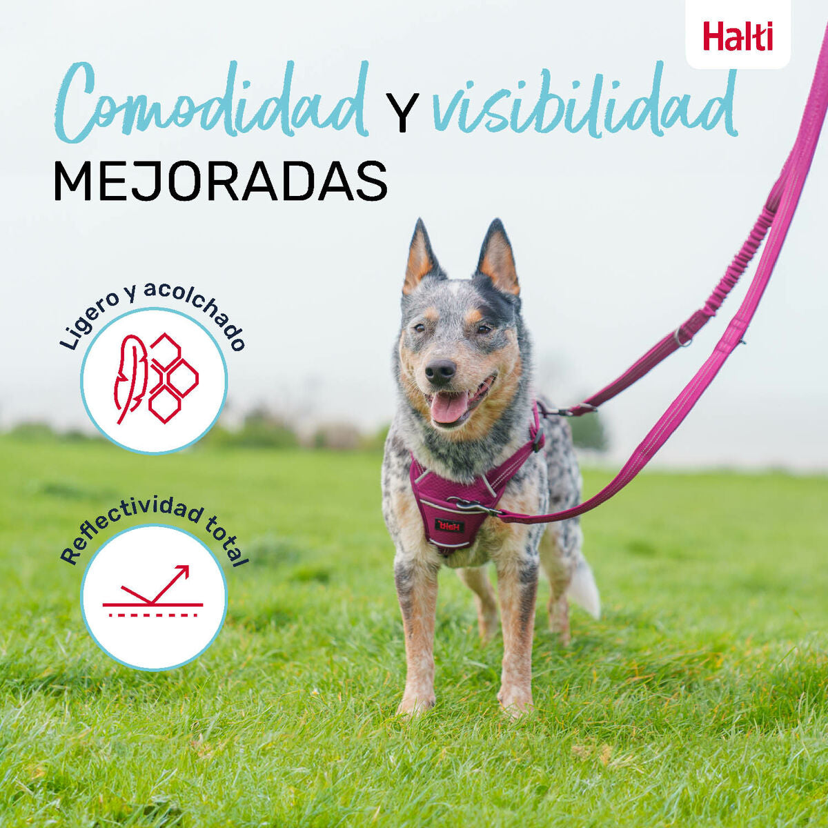 V5HE2BA420E4D3D592CDD07EAECD9599D62R5328605P5