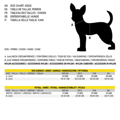 V8HCBE5C31974E48F89BCE3E09FEA7861D3R3552479P9