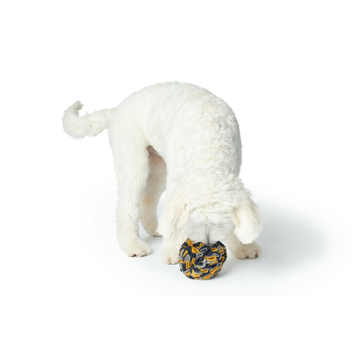 V5H67F62255FFFC9FB7D72F853DAEC91921R5333594P2