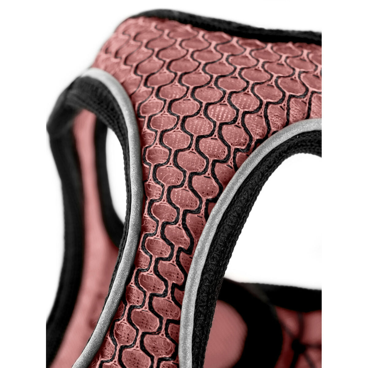 V6H42E10C3E72641323791F284F8F2F3DFER4218059P2