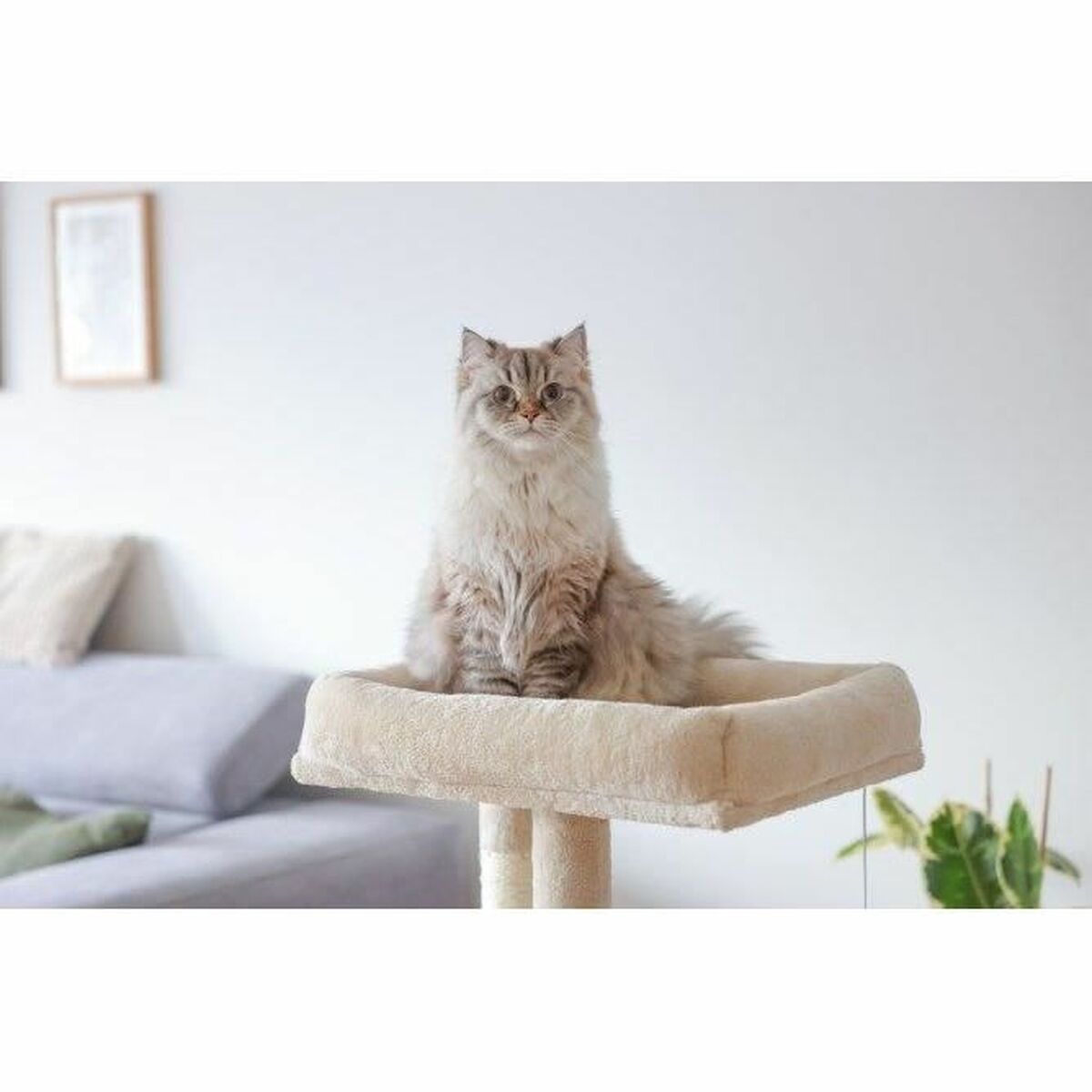 V5H7C4B30B830C82B36885F342DB245BB2FR4896635P5