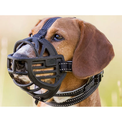V6H55B2EC321B2E955AE7414A1343BF3D66R7441620P2