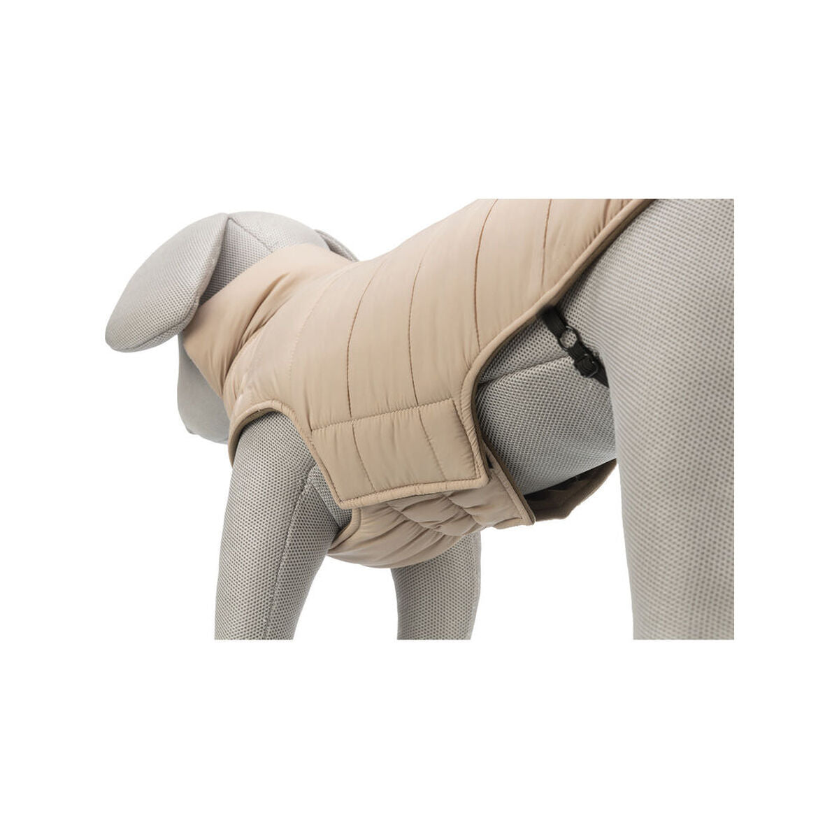 V6H8CD59DFC0F06C76367ABF7C66138F1E8R7461004P7