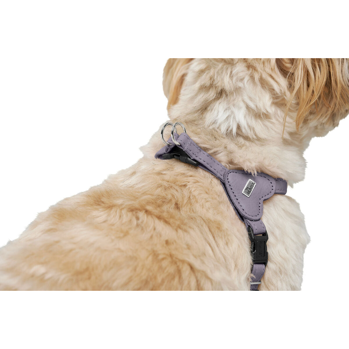 V4H9E95B8440C3CC9B8C6FE3DD1B748BB29R5575667P6