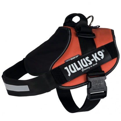 V6H06897B71C34B05635800A136FAD5EDB4R7444203P2
