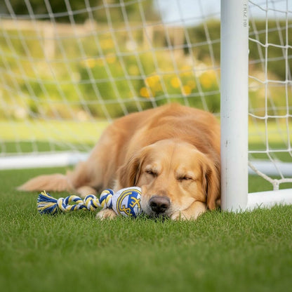 V3HB6C4F9B67D862A7D0EE9CF78DD81B83AR7187334P6