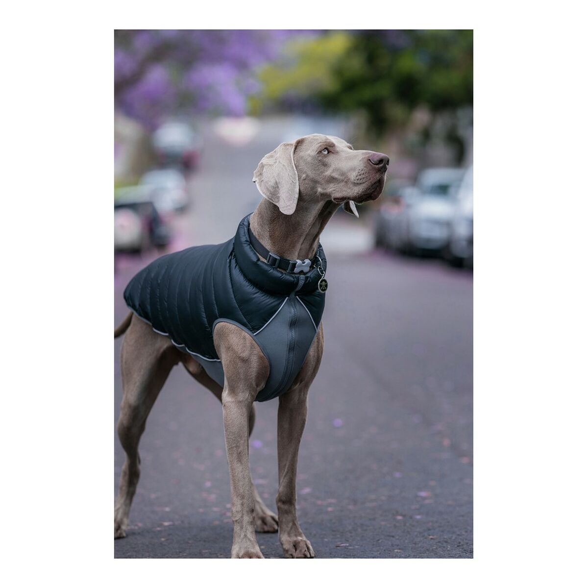 V12HC2131CB1026A071FC74F5D60E9501B4AR4287838P3