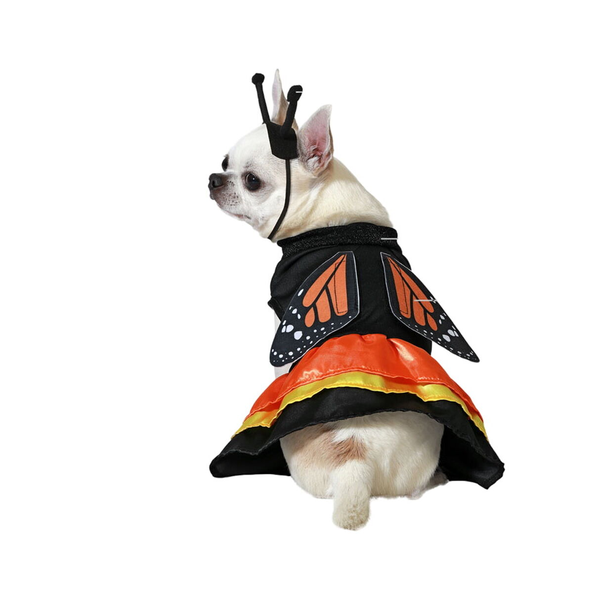 V5H892D02CDD9ABB35126B243F0F5EACF4BR5006587P1